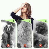 Gentle Pet Cleaning No-Rinse Gloves